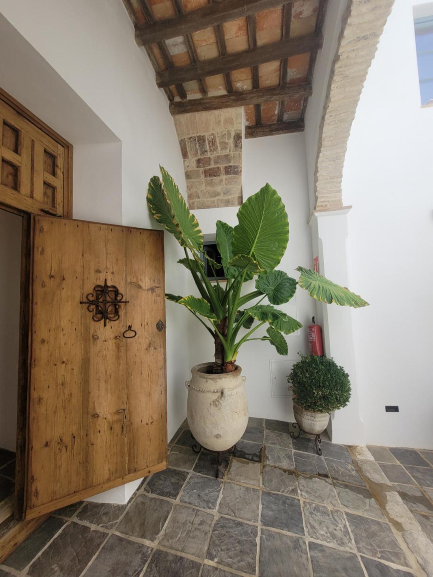 Casa Del Museo - Agua * Medina-Sidonia